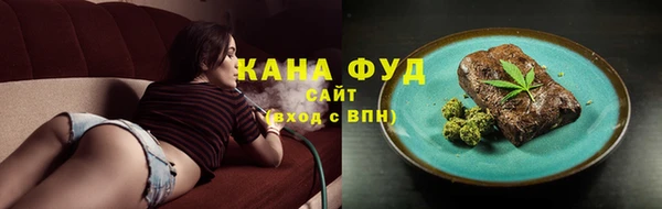 дмт Алзамай