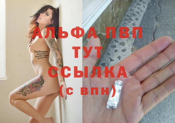 прущий лед Лагань