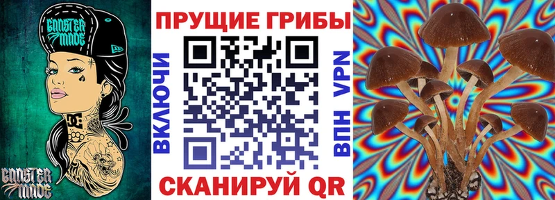mega вход Черкесск Псилоцибиновые грибы GOLDEN TEACHER